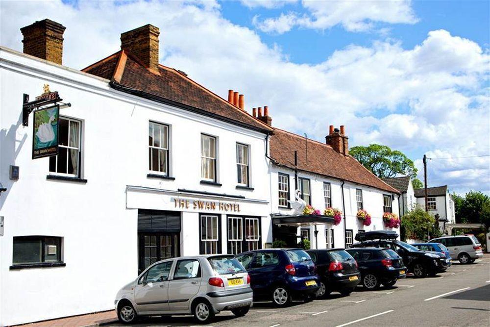 The Swan