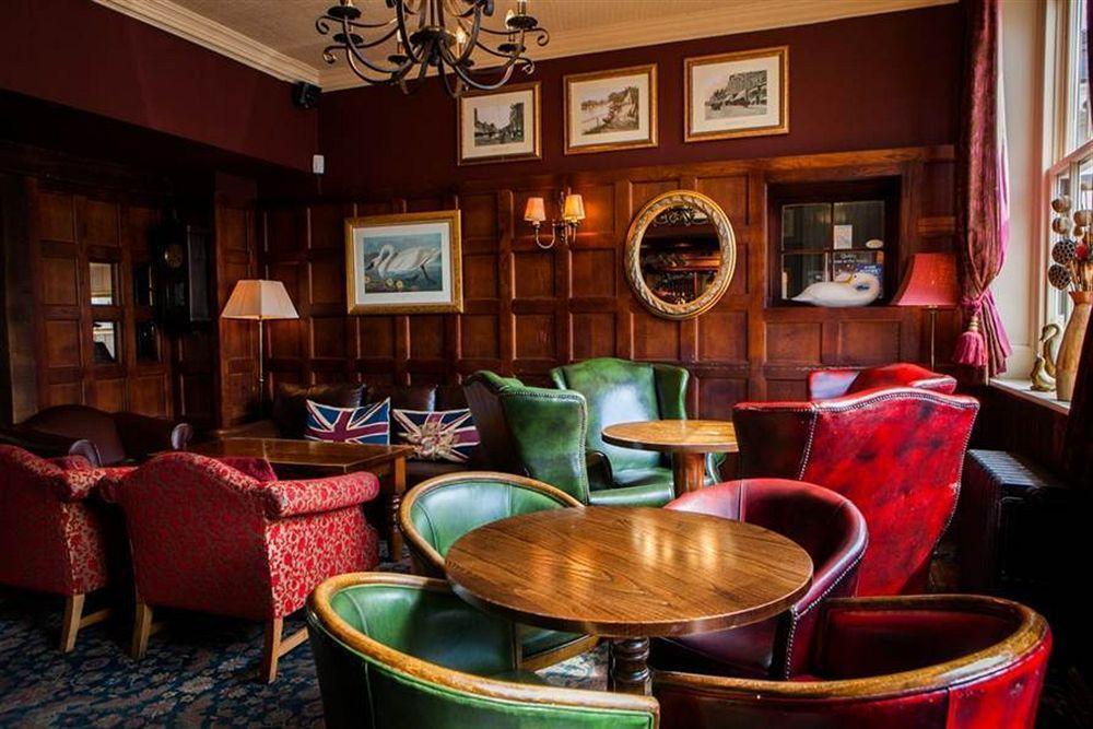 The Swan