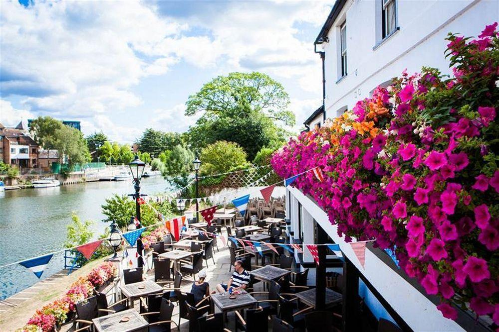The Swan